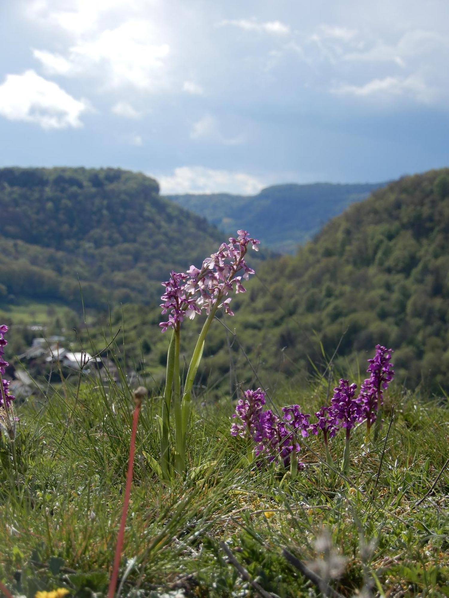 Maison De Vacances - Vue Panoramique Riviere Ornans Exteriör bild
